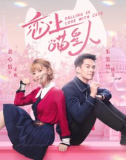 照顾小兔宝宝