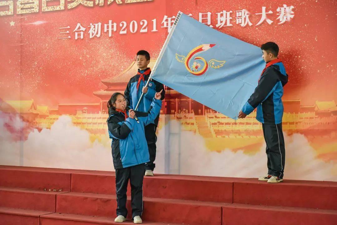 强大的狮子拼图