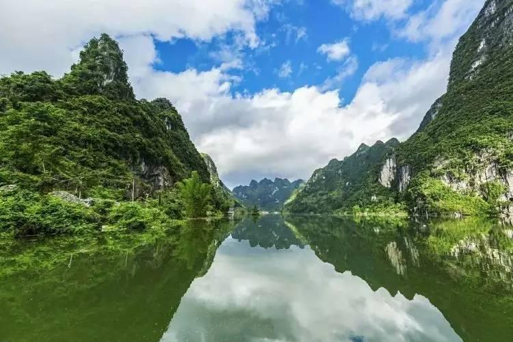 逃离梦想花园
